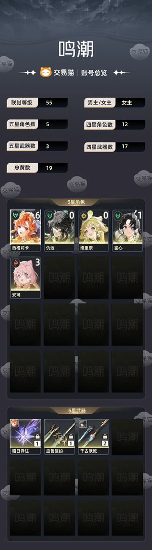 鸣潮【55级】 61西格莉卡 仇远强势组合队