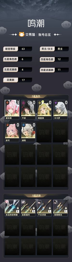 鸣潮【63级】 手工60共解大毕业爱弥斯