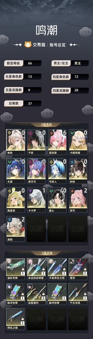 鸣潮【66级】 61爱自玩号