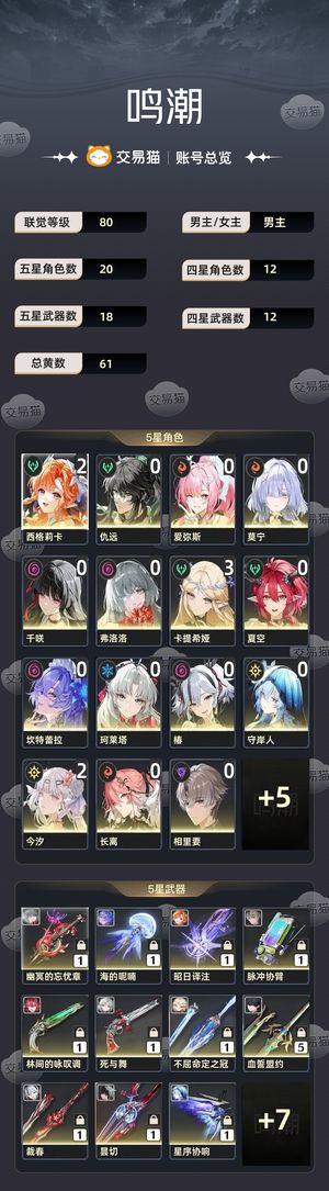 鸣潮【80级】 多队伍底价心血号