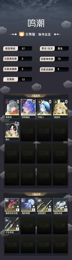 鸣潮【57级】 弗坎队都有专武还有守岸人