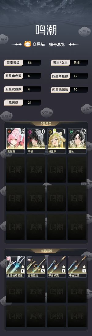 鸣潮【56级】 6 1爱弥斯可小刀