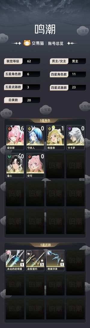 鸣潮【62级】 爱弥斯账号