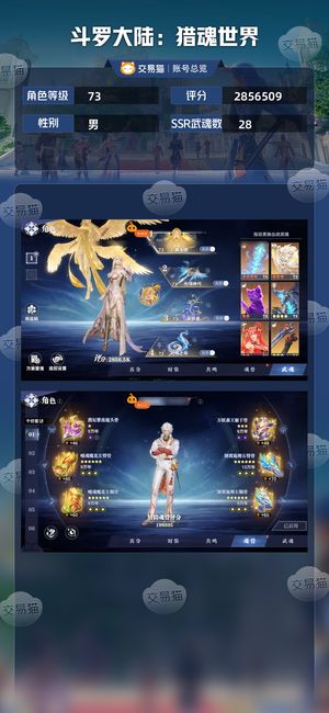 斗罗大陆：猎魂世界【73级】天使队四神赐，三卡都有