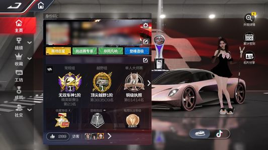 巅峰极速高定皮肤多杰作套件多满阶车