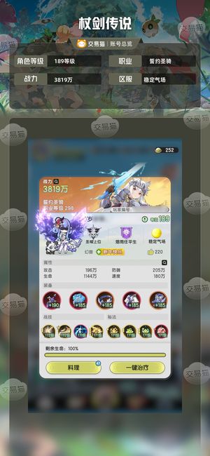 杖剑传说【189级誓约圣骑】 全网最低称号翅膀号