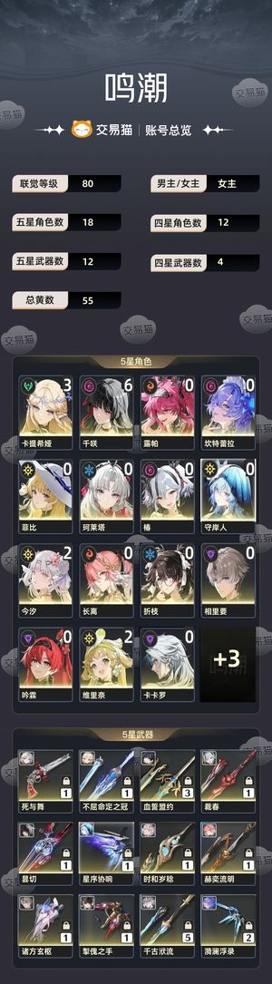 鸣潮【80级】 61千咲31卡提3w+星声可砍