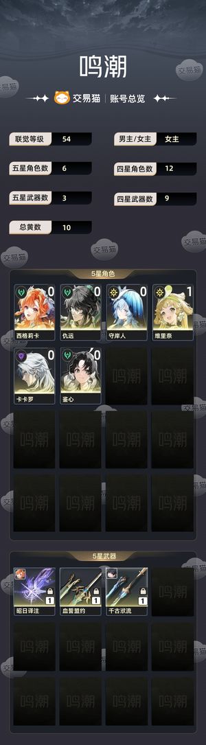 鸣潮【54级】 西仇守完整配队，3.2w星声