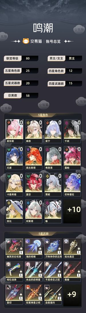 鸣潮【80级】 多配队0 1