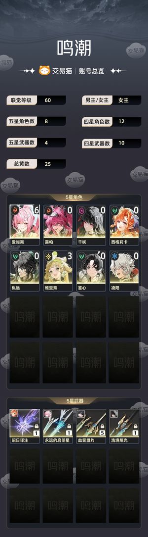 鸣潮【60级】 满命专武小爱