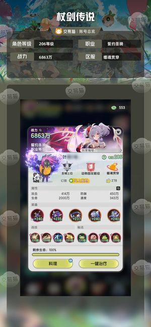 杖剑传说【206级誓约圣骑】万氪号便宜出，资源多多