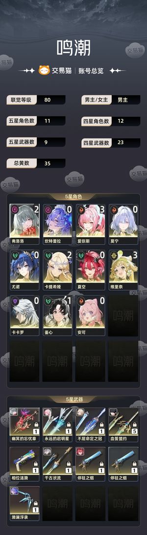 鸣潮【80级】 带三百多抽