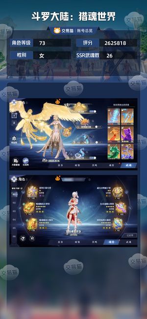 斗罗大陆：猎魂世界【73级】现版本顶级配置