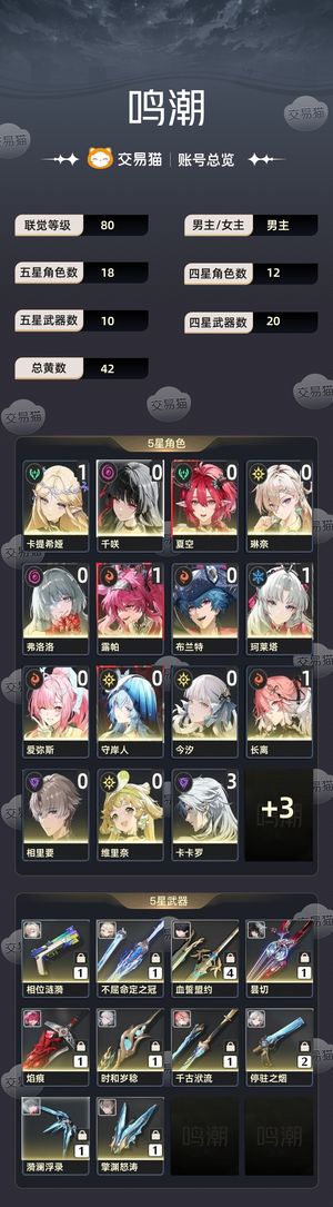 鸣潮【80级】 毕业练度多配队