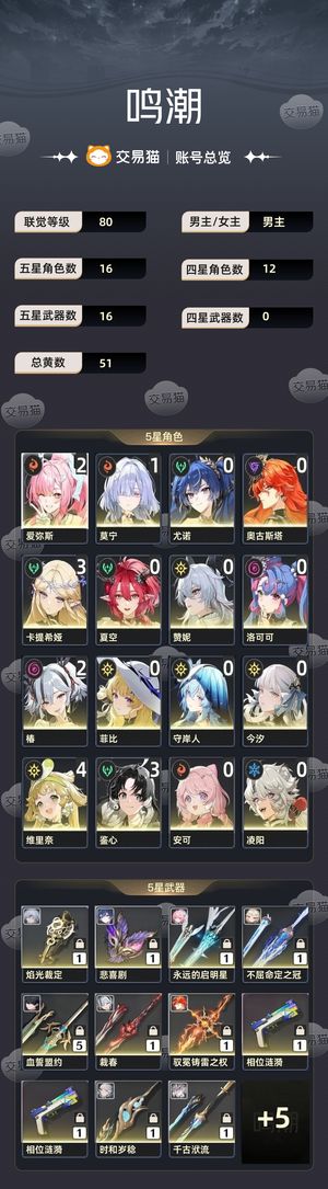 鸣潮【80级】 纯自玩号多角色高练