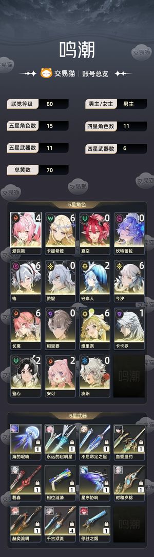 鸣潮【80级】 41小爱还有五满命角色