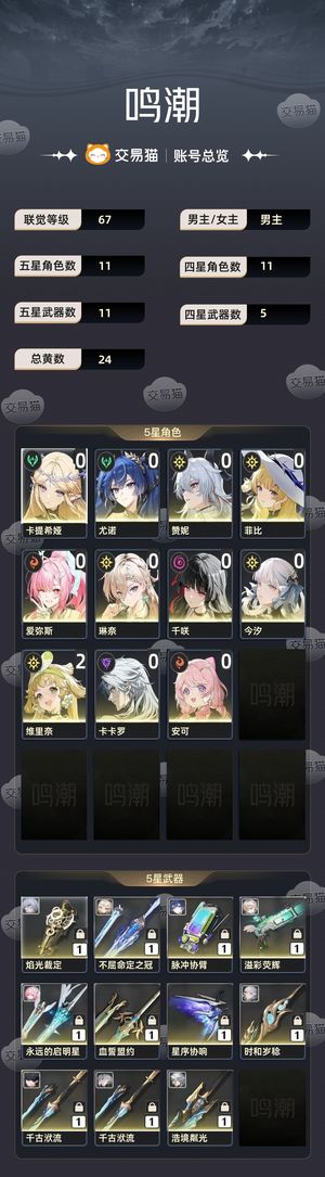 鸣潮【67级】 小爱，卡提，赞妮