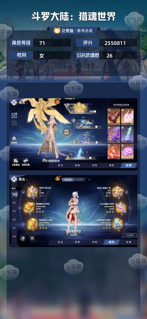 斗罗大陆：猎魂世界【71级】氪度8000，成品锤队 雪队