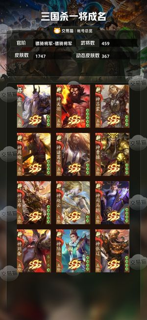 三国杀一将成名（三国杀十周年）【骠骑将军-骠骑将军】骠骑将军，没时间玩了