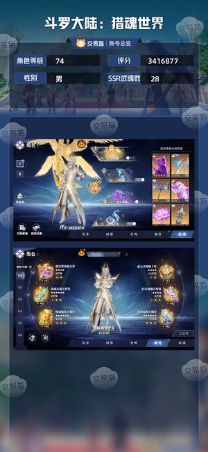 斗罗大陆：猎魂世界【74级】11神赐千仞雪队