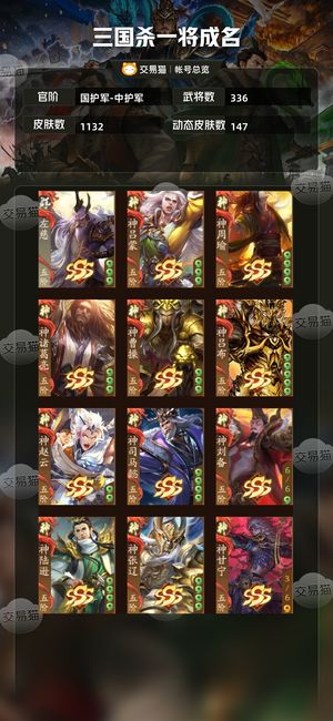 三国杀一将成名（三国杀十周年）【国护军-中护军】 三国杀国护军，多阴间