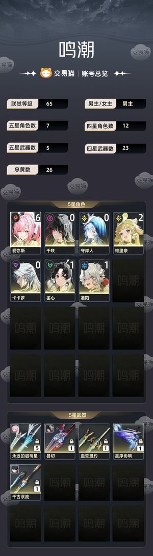 鸣潮【65级】 6+5爱弥斯，01千咲01守岸