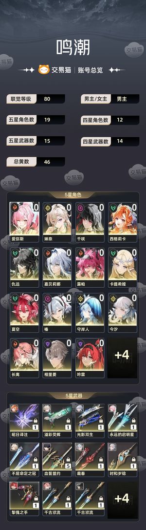 鸣潮【80级】 开服号带月卡多配队