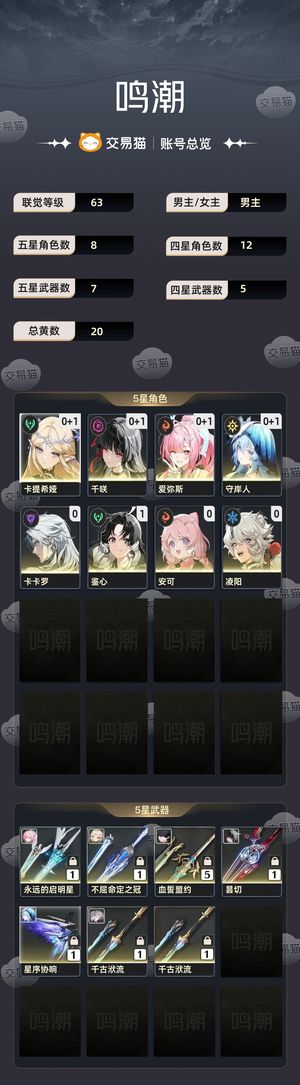 鸣潮【63级】 没时间玩了，低价出