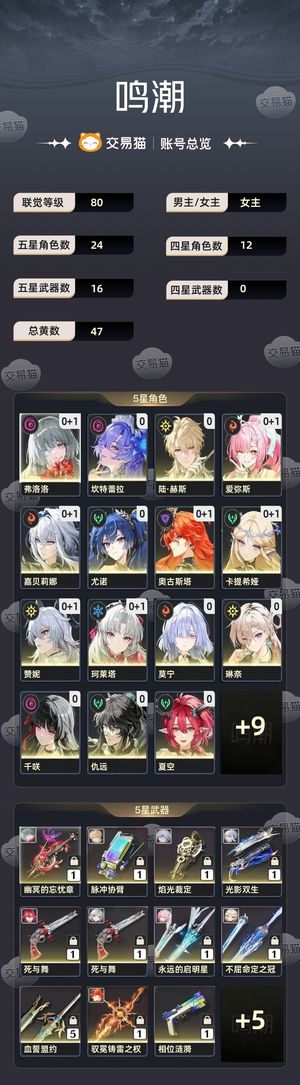 鸣潮【80级】 八个完整配队