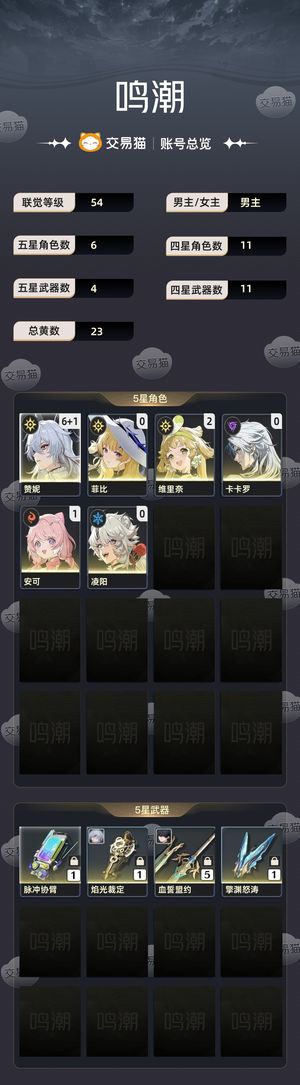 鸣潮【54级】 6命赞妮爽玩