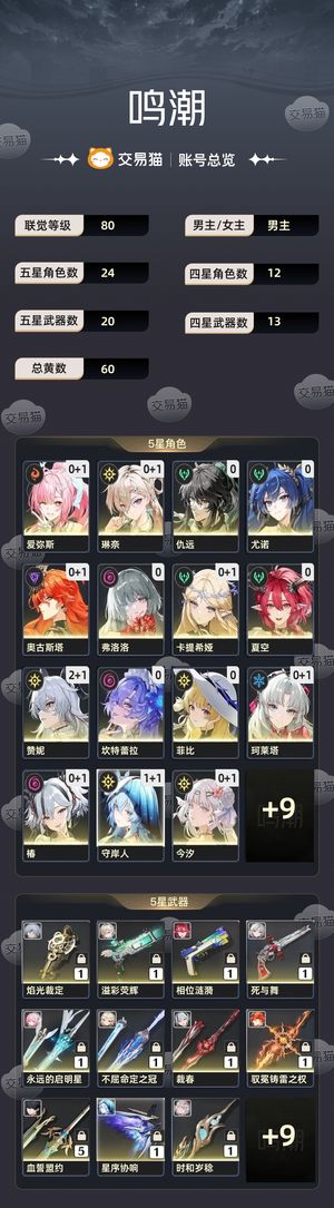 鸣潮【80级】 鸣潮高练成品号  多角色