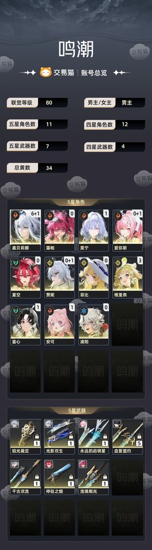 鸣潮【80级】 纯手打非科技满命福利号低价出六