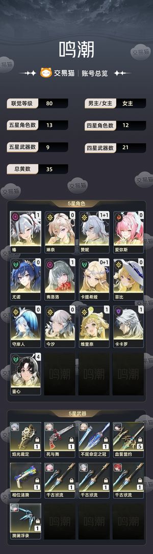 鸣潮【80级】 自用号退坑，爱弥斯版本地图未开