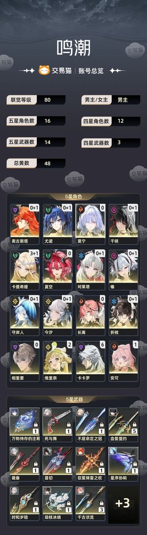 鸣潮【80级】 日月队风队冰队龙凤队伍很多