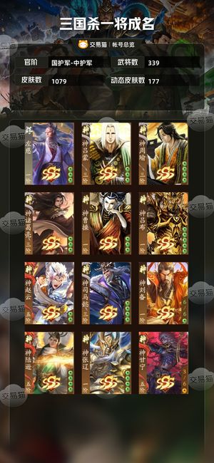 三国杀一将成名（三国杀十周年）【国护军-中护军】四神六威一大谋多锦绣