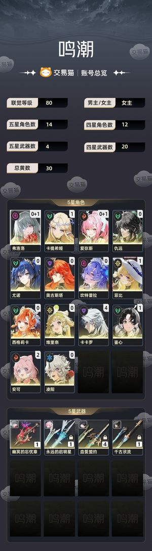 鸣潮【80级】 鸣潮官服，