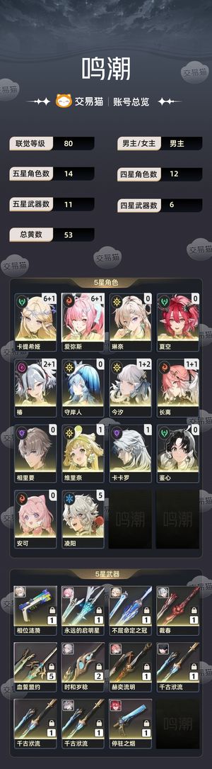 鸣潮【80级】 满命卡提爱弥斯配对多角色多