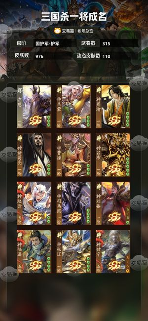 三国杀一将成名（三国杀十周年）【国护军-护军】 神张飞神黄忠谋姜维 准20玉