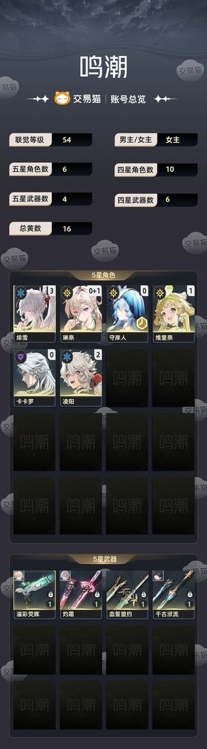 鸣潮【54级】 31绯雪01琳奈