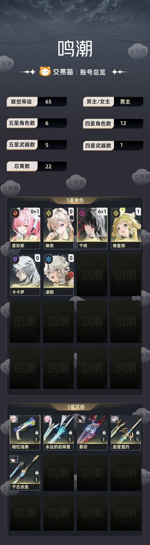 鸣潮【65级】 满命千咲小爱林奈加过百抽数