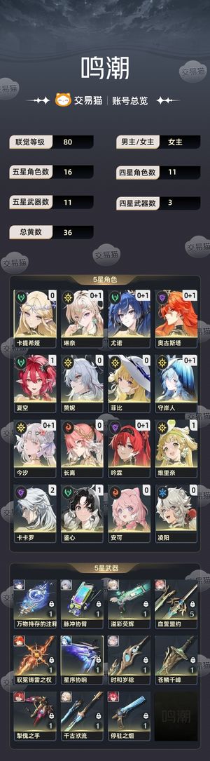 鸣潮【80级】 今汐服饰，长离服饰，总黄数36