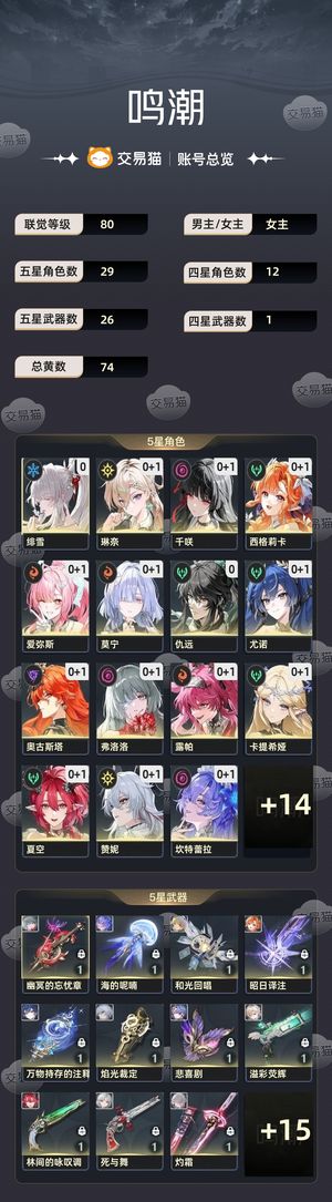 鸣潮【80级】 高练平铺号