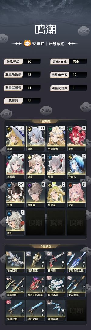 鸣潮【80级】 自己玩的体系队伍