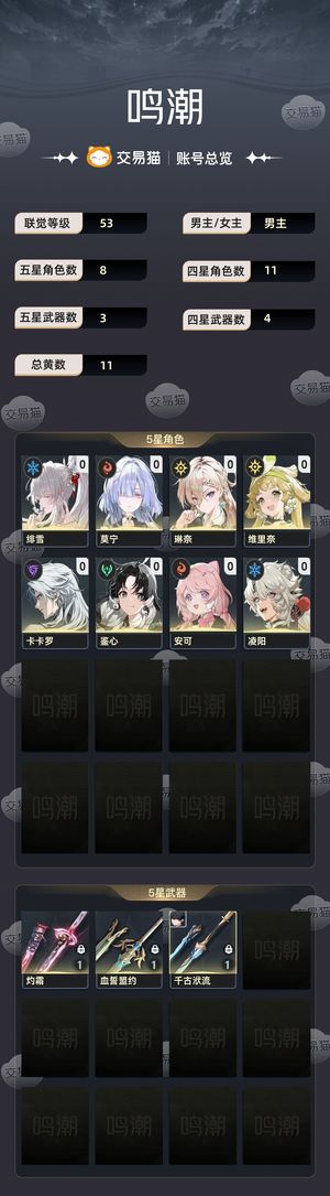 鸣潮【53级】3 1绯雪 魔王护