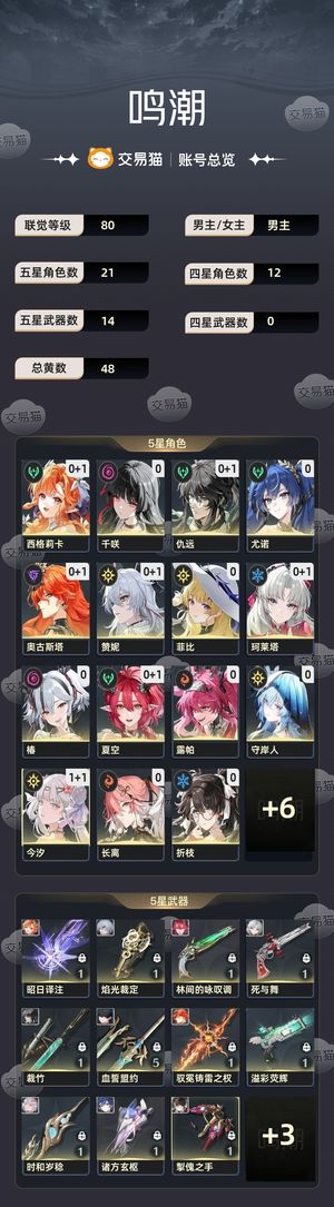 鸣潮【80级】 小号出了    