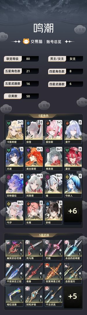 鸣潮【80级】 今汐皮肤，31卡提