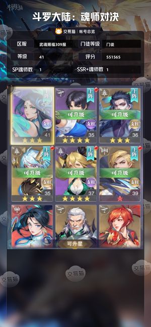 斗罗大陆：魂师对决【门徒,41级】神王新区号带魂骨