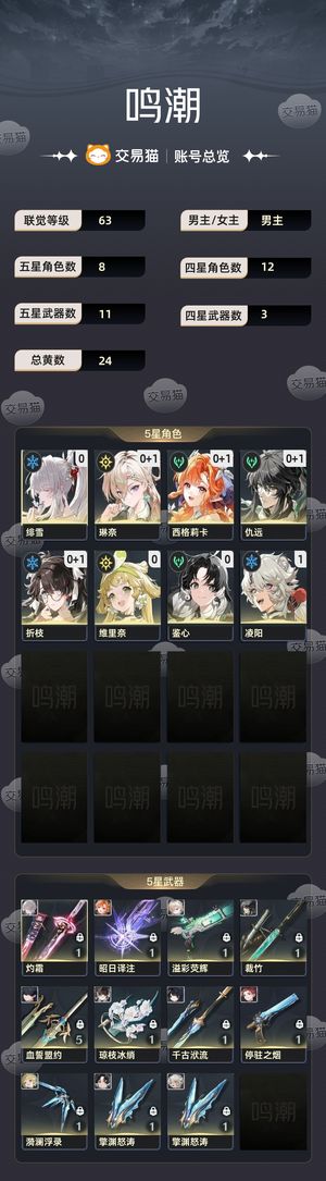 鸣潮【63级】 绯雪琳奈折枝仇远希格莉卡0 1