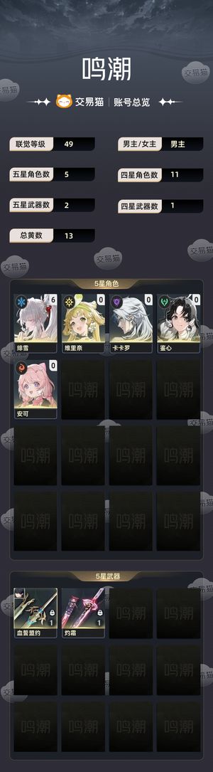 鸣潮【49级】 61绯雪满命 星声 1任意命
