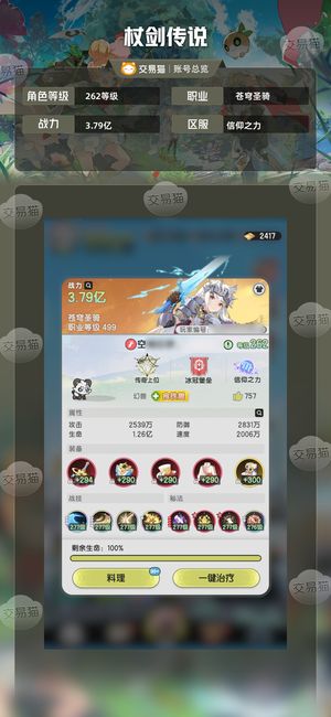 杖剑传说【262级苍穹圣骑】 骑士装备齐全
